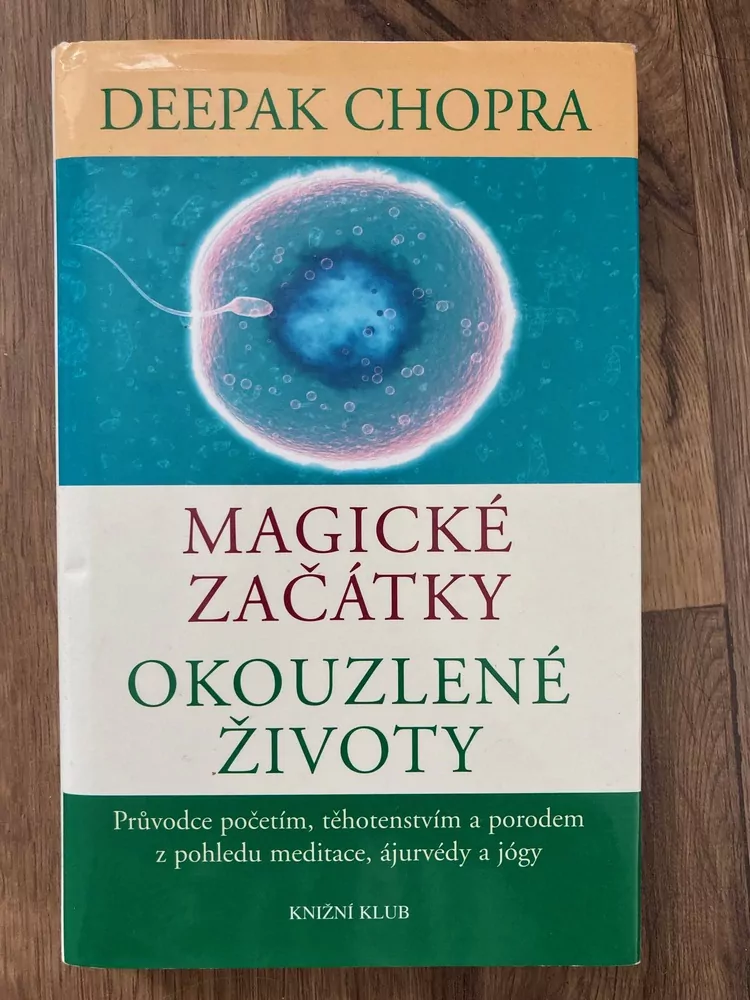 Magické začátky - okouzlené životy