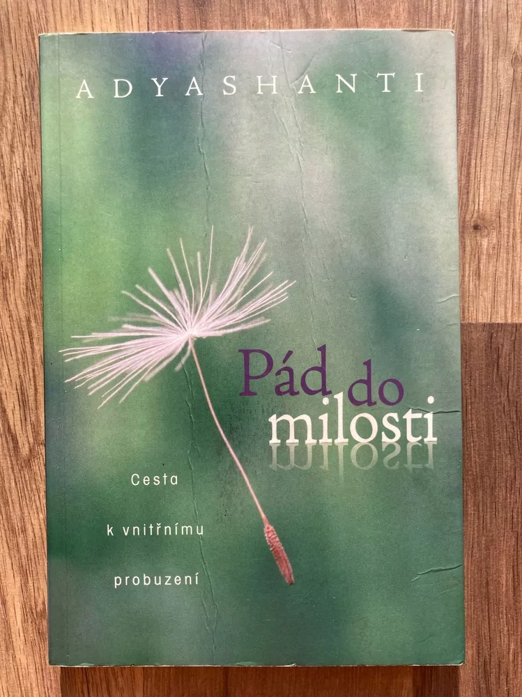 Pád do milosti