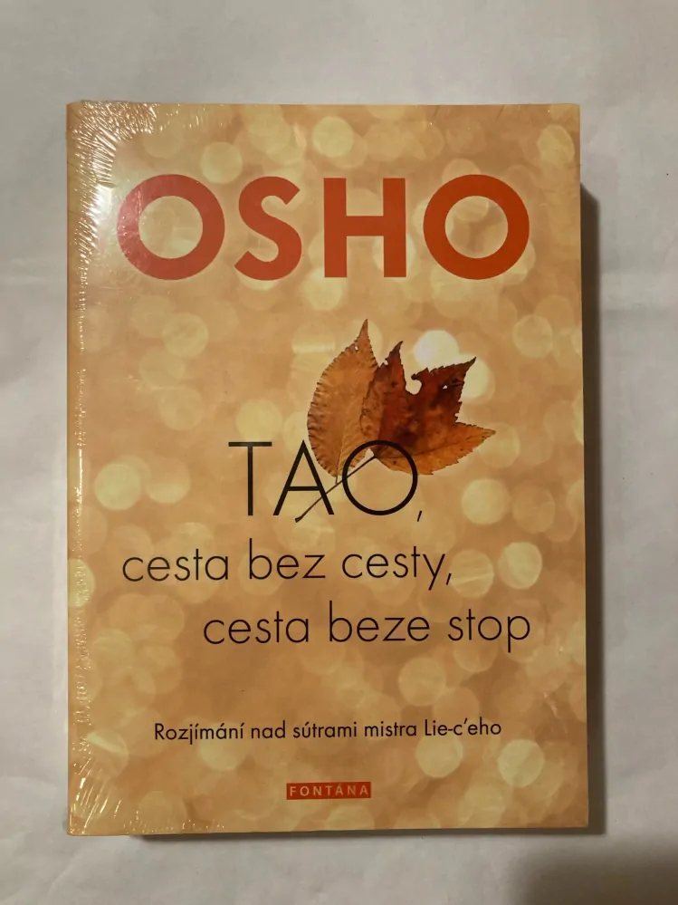 Tao, cesta bez cesty, cesta beze stop