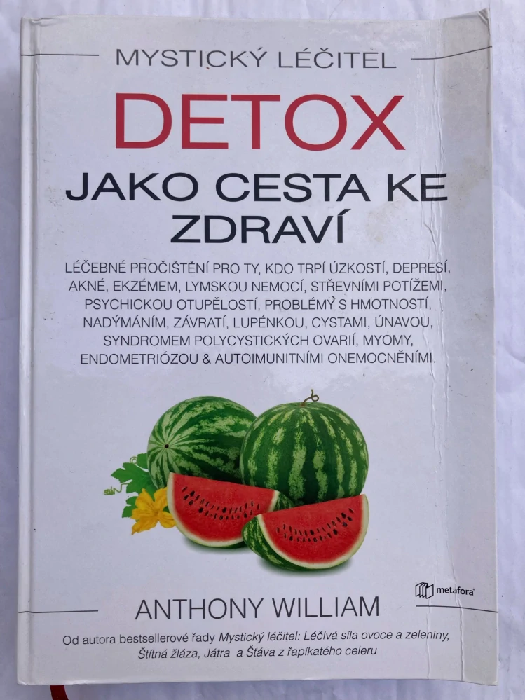 Mystický léčitel - Detox jako cesta ke zdraví