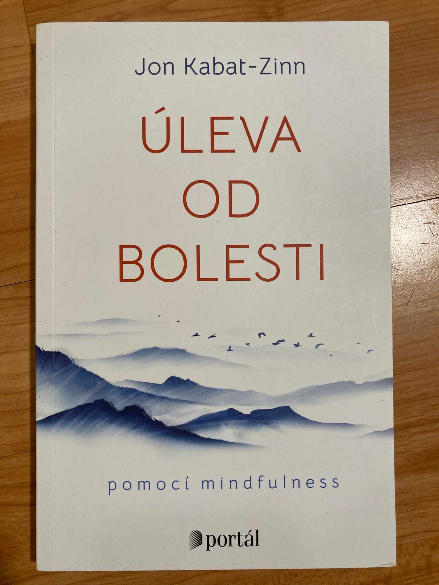 Úleva od bolesti pomocí mindfulness