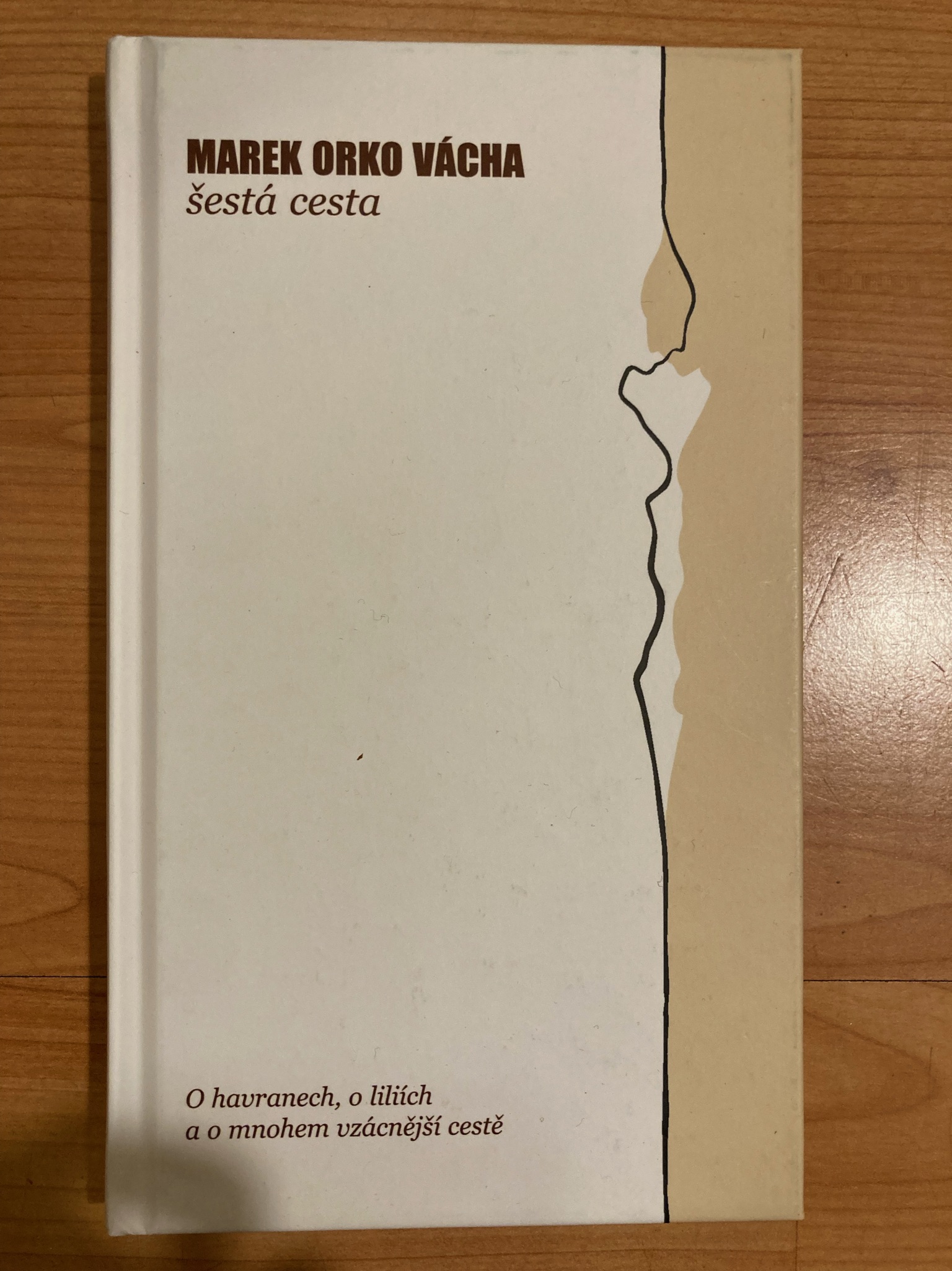 Šestá cesta
