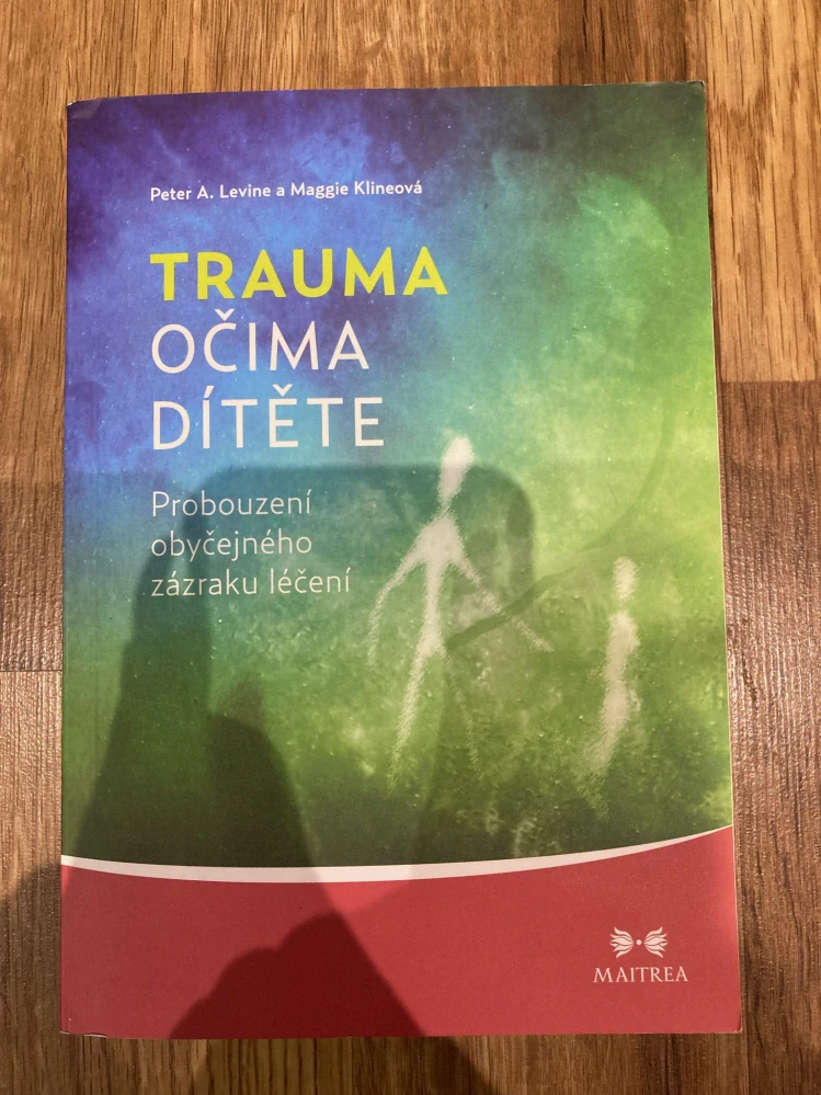 Trauma očima dítěte
