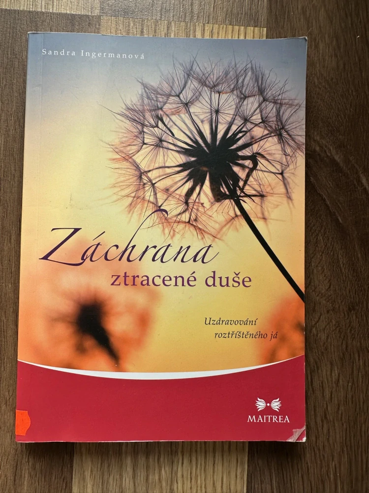Záchrana ztracené duše