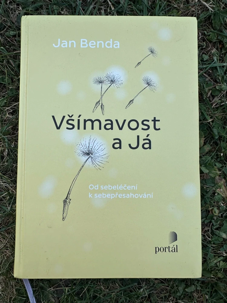 Všímavost a já