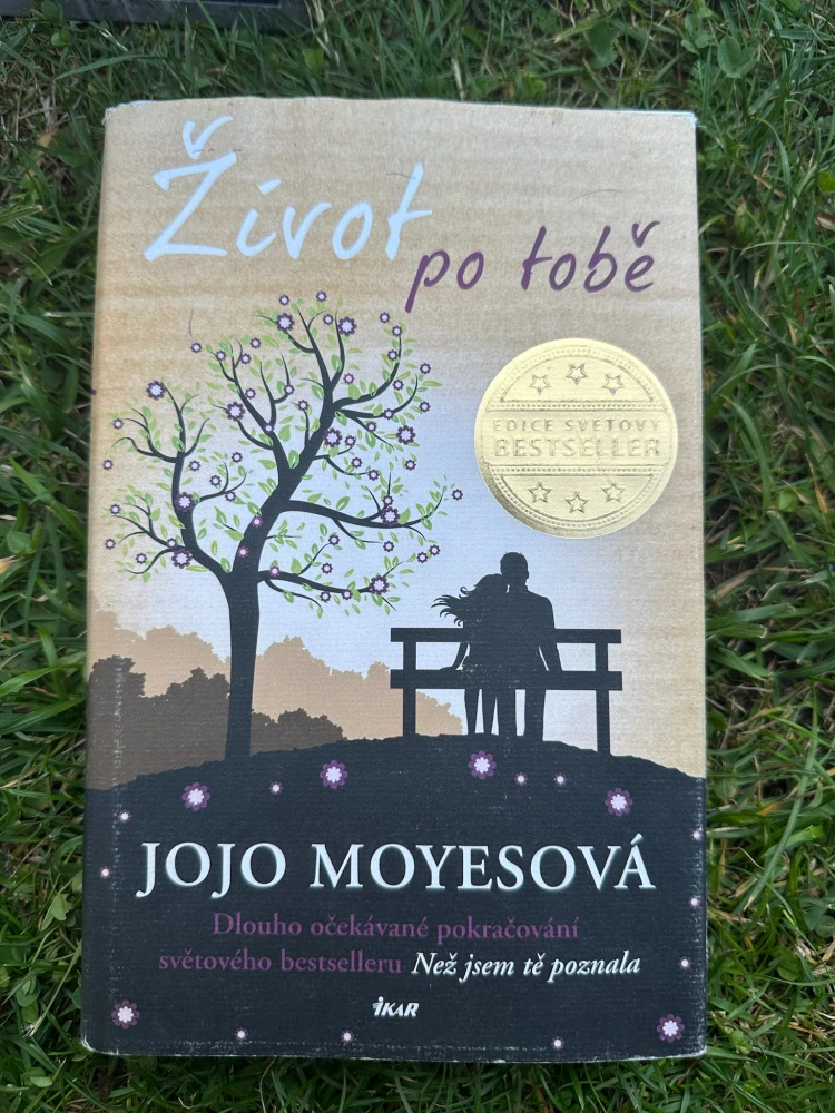 Život po tobě
