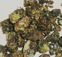 Kamasutra