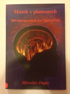 Mozek v plamenech