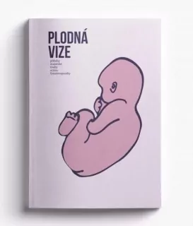 Plodná vize