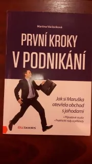 První kroky v podnikání