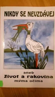 Nikdy se nevzdávej aneb život a rakovina mýma očima