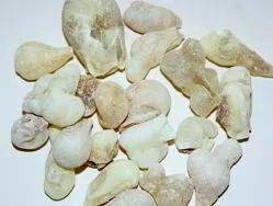 Kadidlo Omán - SILVER