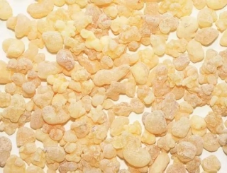 Kadidlo Eritrea