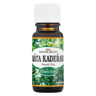 Máta kadeřavá