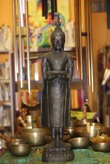 Bodhisattva nabízí Plod - Osvícení