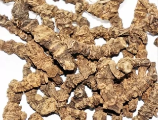 Jatamansi