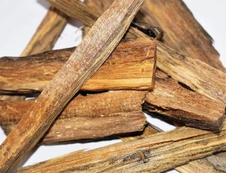 Gaharu Buaya - Krokodýlí agarwood