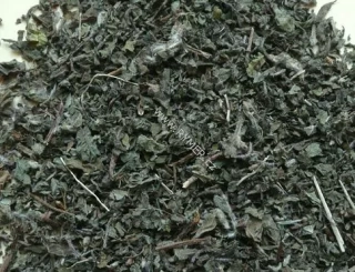 Tulasi