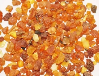 Jantar baltický