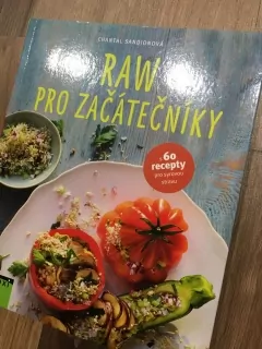 Raw pro začátečníky