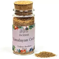 Himalájský Cedr
