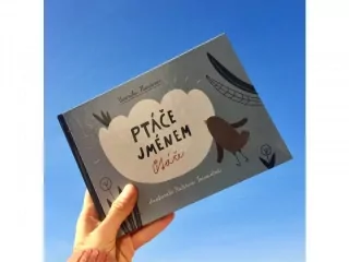 Ptáče jménem Ptáče