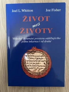 Život mezi životy