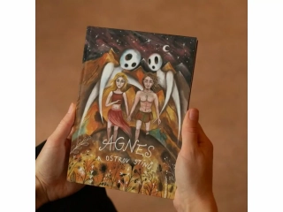 Agnes a ostrov stínů