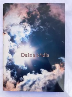 Duše a křídla