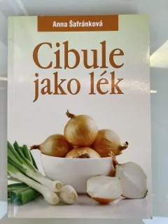 Cibule jako lék