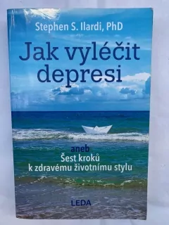 Jak vyléčit depresi