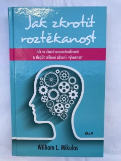 Jak zkrotit roztěkanost