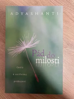 Pád do milosti