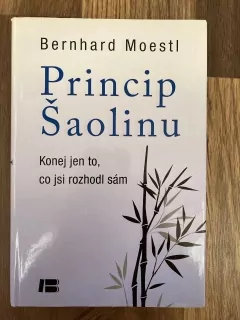 Princip šaolinu