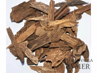 Agarwood - Orlářka drahocenná