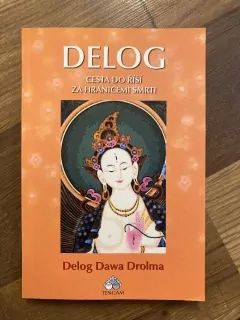 Delog - Cesta do říší za hranicemi smrti