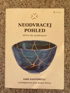 Neodvracej pohled