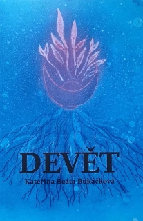 Devět
