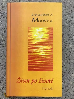 Život po životě