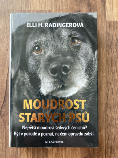 Moudrost starých psů