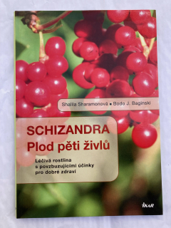 Schizandra - plod pěti živlů