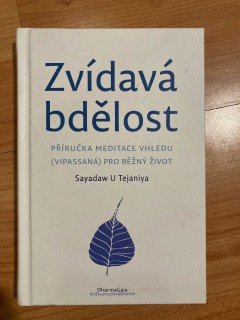 Zvídavá bdělost