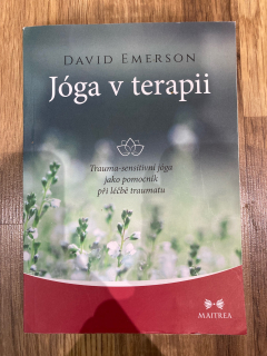 Jóga v terapii