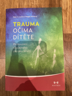Trauma očima dítěte