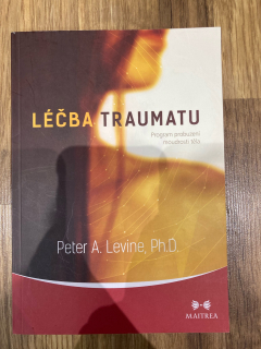 Léčba traumatu