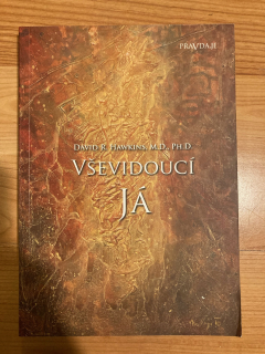 Vševidoucí já