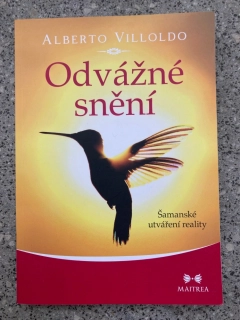 Odvážné snění
