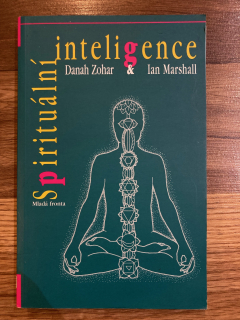 Spirituální inteligence