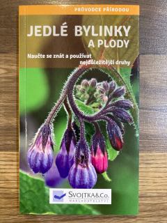 Jedlé bylinky a plody