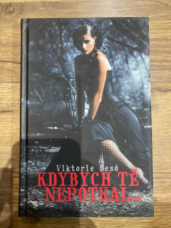 Kdybych tě nepotkal...